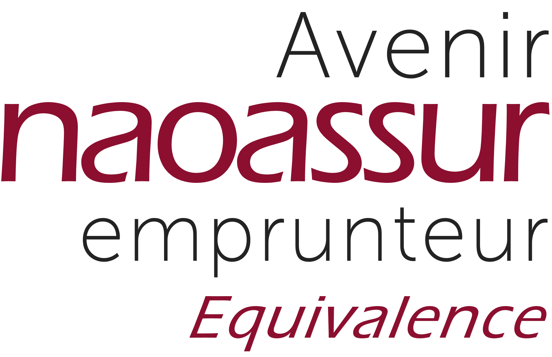 Diapositive Avenir Naoassur Emprunteur Equivalence